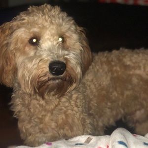 Meet your Posher, Jess